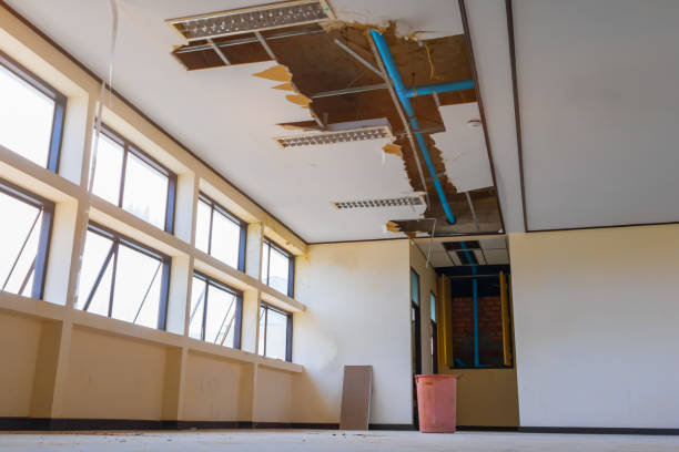 Best Water damage restoration near me  in Rockford, MI