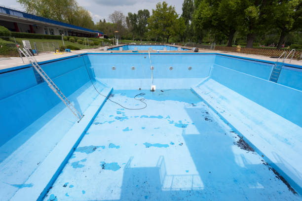 Best Flooded house restoration  in Rockford, MI