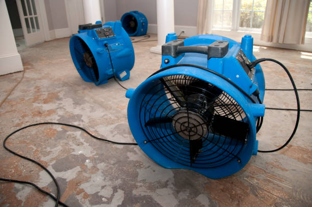 Best Water damage restoration near me  in Rockford, MI