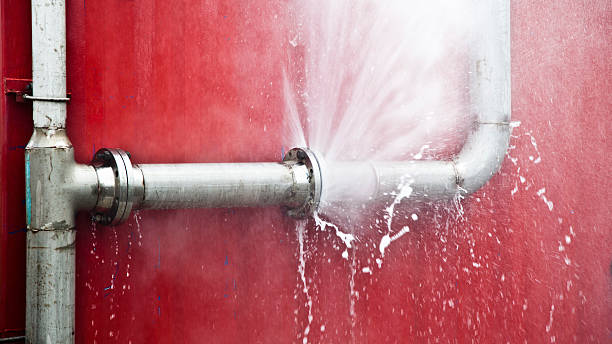 Best Local water damage restoration  in Rockford, MI